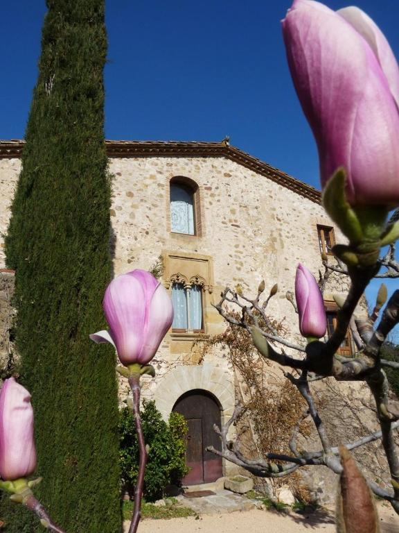 Mas Vilosa Bed And Breakfast Corsá Εξωτερικό φωτογραφία