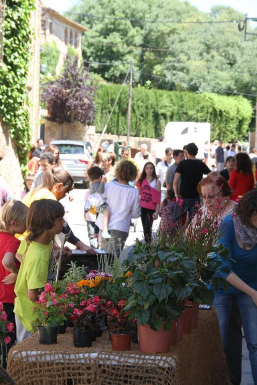 Mas Vilosa Bed And Breakfast Corsá Εξωτερικό φωτογραφία